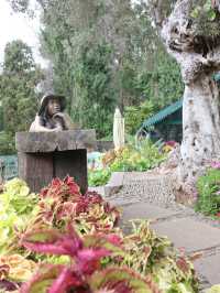 Garden Highlights 