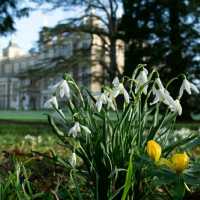 🌸🌿 Spring Has Landed at Audley End House & Gardens in Uttlesford! 🌿🌸