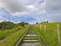 Standing at the Edge of England: The Majestic White Cliffs of Dover