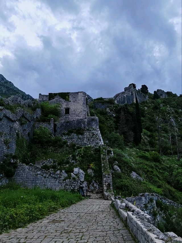 Kotor Fortress Hike 👣