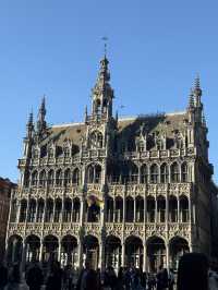 🇧🇪最美的布魯塞爾大廣場（Grand-Place / Grote Markt）