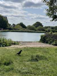 Burgess Park, London