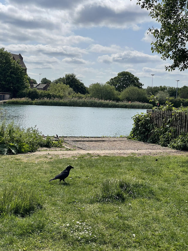 Burgess Park, London