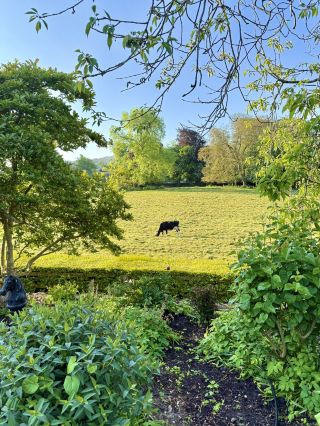 Perfect day in Dublin