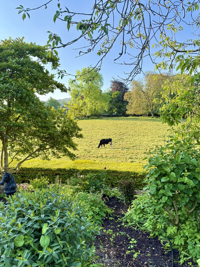 Perfect day in Dublin