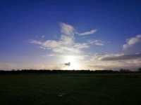 Richmond Park Travel Diary: Nature and Serenity