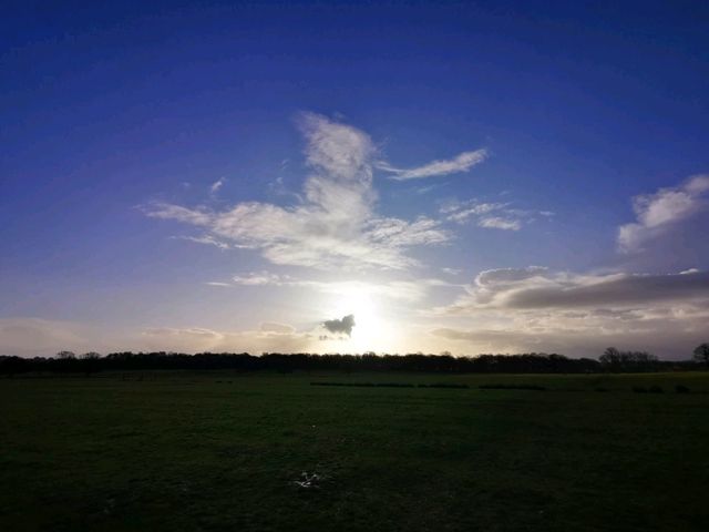 Richmond Park Travel Diary: Nature and Serenity