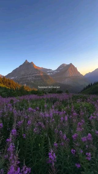 My Favorite Hikes in Glacier National Park
