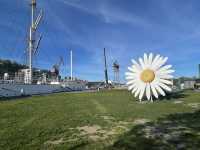 A Summer Budget Walk Through Turku: Castle, City, and Sea
