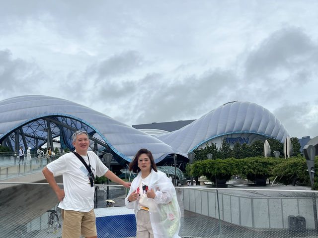 Amazing Shanghai and Beautiful Suzhou