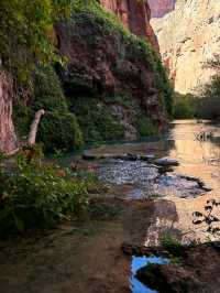 🏞Havasu falls - a hidden dessert paradise