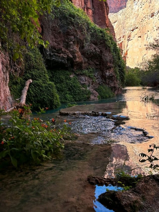 🏞Havasu falls - a hidden dessert paradise