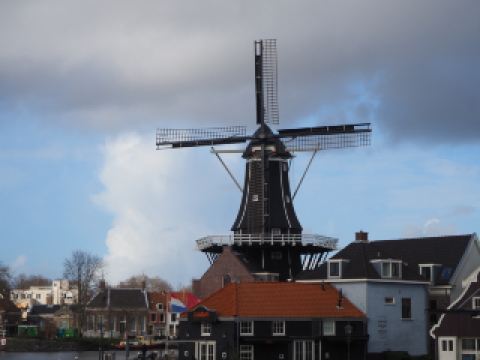 アムステルダムの熱狂的な喧騒のない、典型的なオランダの都市を訪問します。