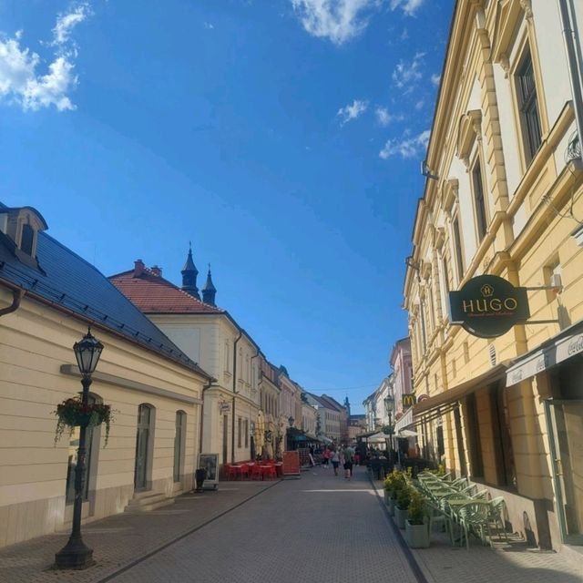 Eger with the most famous Hungarian castle