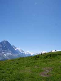 🏔️ รีวิว Grindelwald First – ประสบการณ์สุดขอบฟ้า