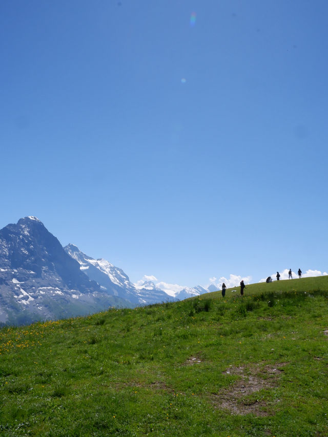 🏔️ รีวิว Grindelwald First – ประสบการณ์สุดขอบฟ้า