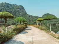 Thung Nham Bird Park: A Hidden Oasis in Tam Coc, Vietnam