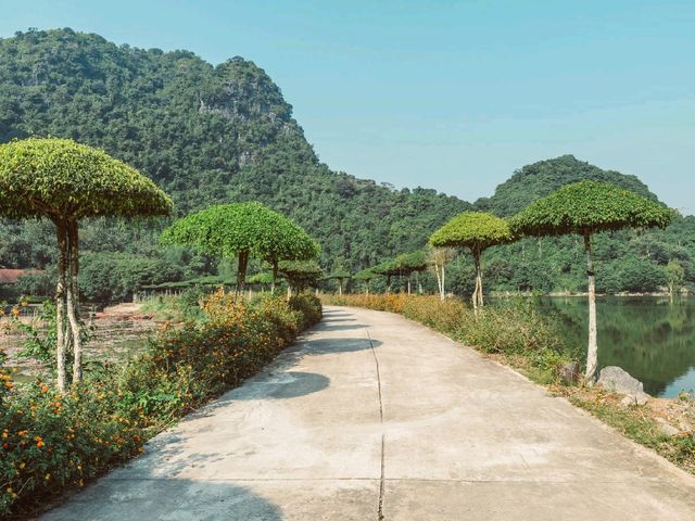 Thung Nham Bird Park: A Hidden Oasis in Tam Coc, Vietnam
