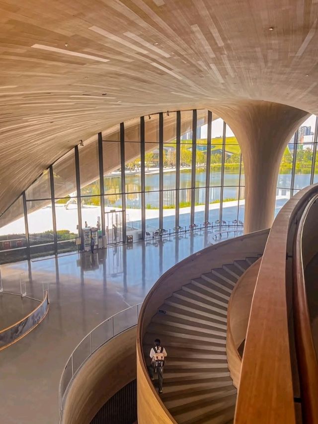 🖼️ Chengdu Art Museum – A Modern Canvas in the Heart of Sichuan