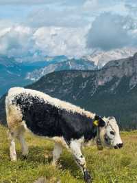 A week in Dolomites, Italy 🇮🇹⛰️