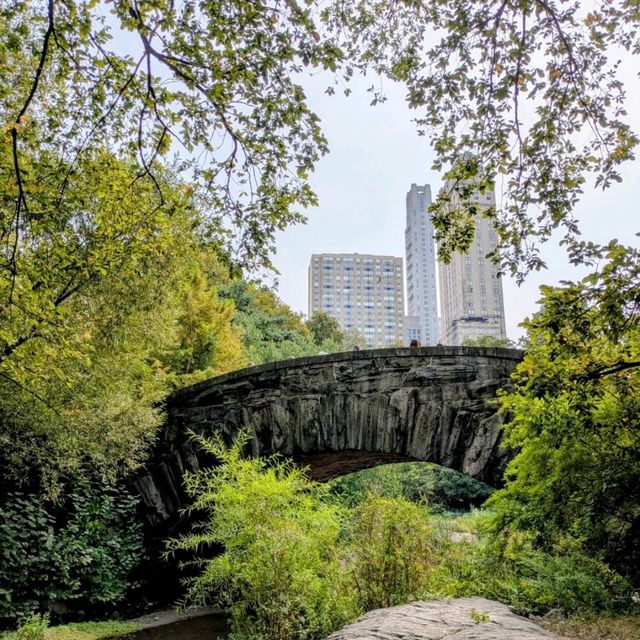 Central Park โ the charming core of the Big Apple ๐๐บ๐ธ Central Park โ the charming core of the Big Apple ๐๐บ๐ธ