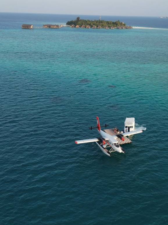 Gangehi Island Resort — Where Paradise Whispers, Not Shouts Gangehi Island Resort — Where Paradise Whispers, Not Shouts