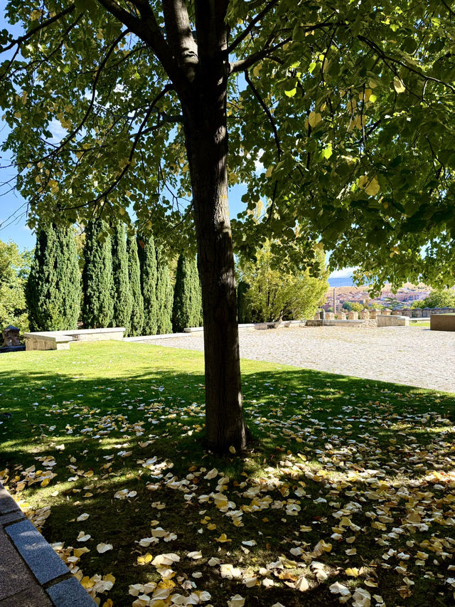 Between the Sacred and the Artistic