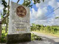🌿 A Peaceful Escape at Abisena Wellness & Resort Ubud
