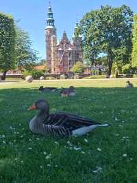 Castle Daydreams🏰