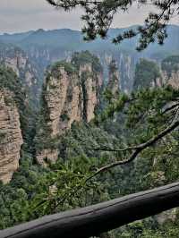 Как Увидеть парк Аватар без толп!