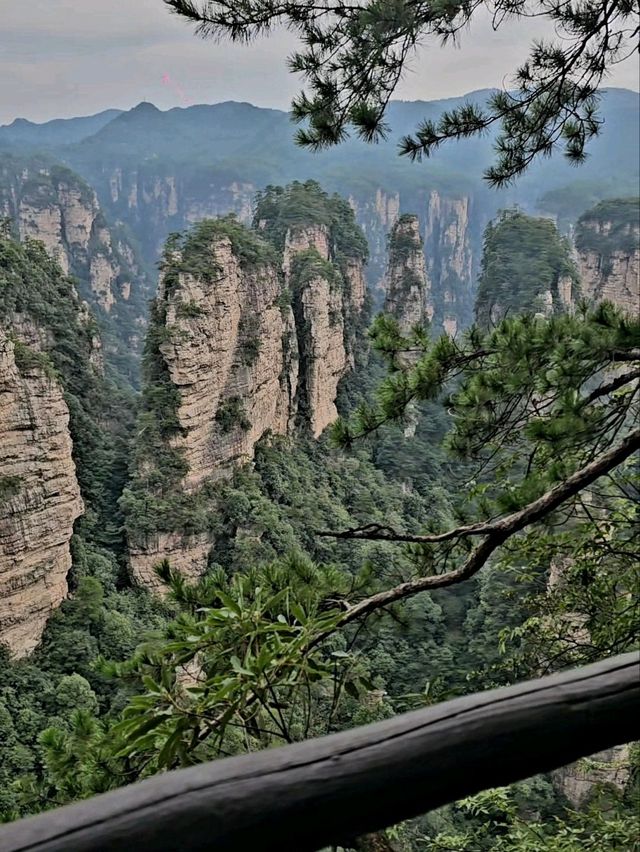 Как Увидеть парк Аватар без толп!