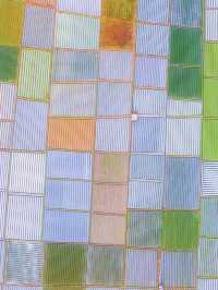 🌴 Lombok: Indonesia's Unspoiled Jewel