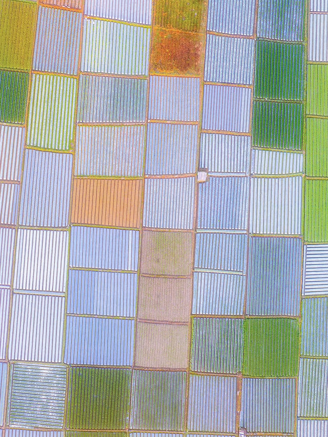 🌴 Lombok: Indonesia's Unspoiled Jewel