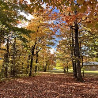Algonquin Provincial Park