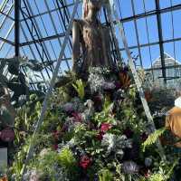 Muttart Conservatory