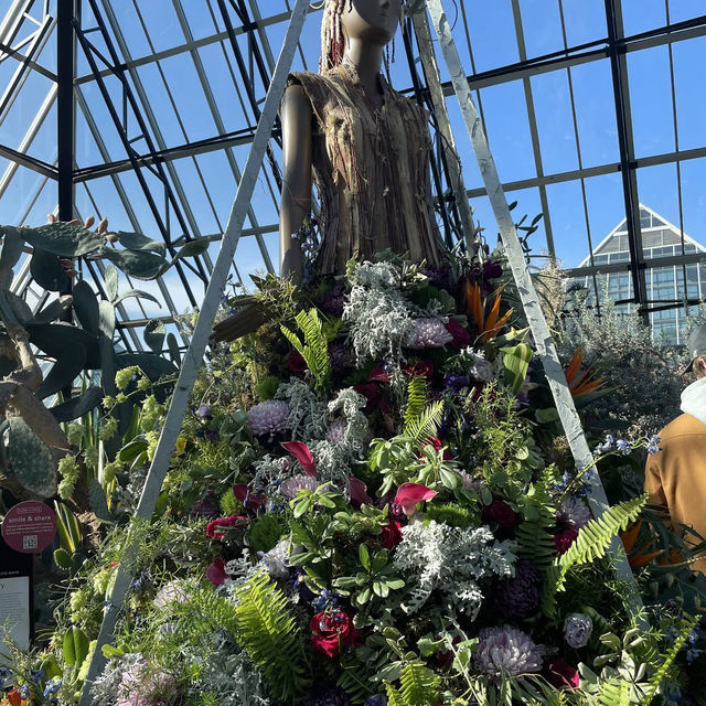 Muttart Conservatory Muttart Conservatory