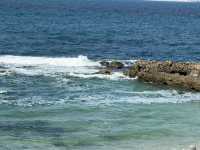 Discover the Magic of Montaza Palace! Alexandria-Egypt