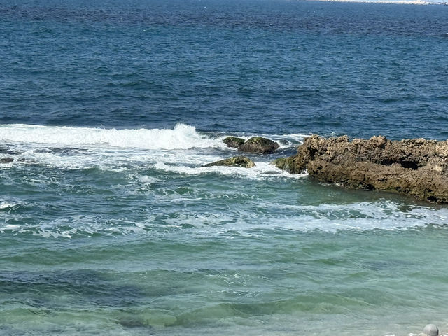 Discover the Magic of Montaza Palace! Alexandria-Egypt