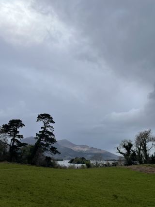 Immersive Irish experience at Killarney: a quick introduction