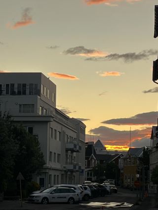 三天精彩旅程：探索市中心活力、觀賞鯨魚和森林潟湖🐳🌲