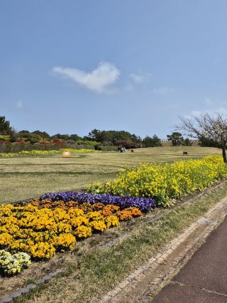 🌿 평화로운 해안 휴양지, 요시다 공원 🌿