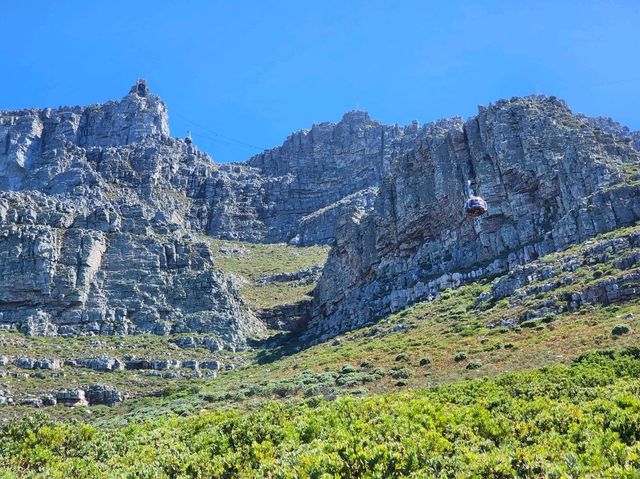 Table Mountain - A World Wonder