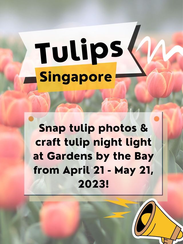 Snap tulip photos at Gardens by the Bay! 🌷📷