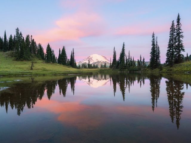 🏔️Mount Rainier National Park | Accidentally stumbled into Heidi's garden