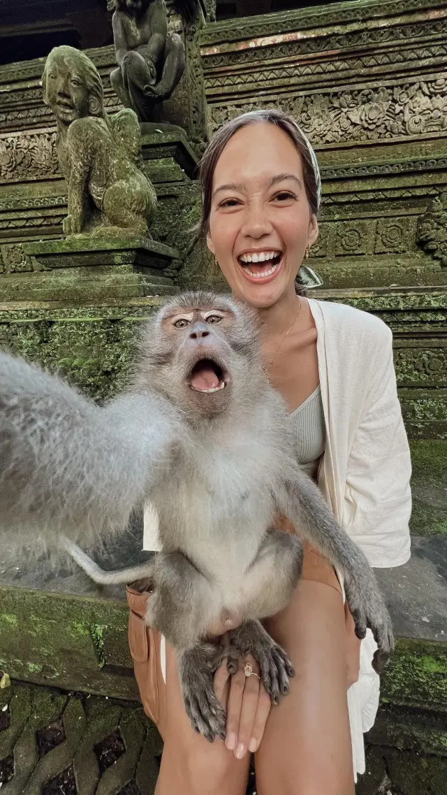 Monkeying Around in Ubud's Enchanting Forest 🙈🌴