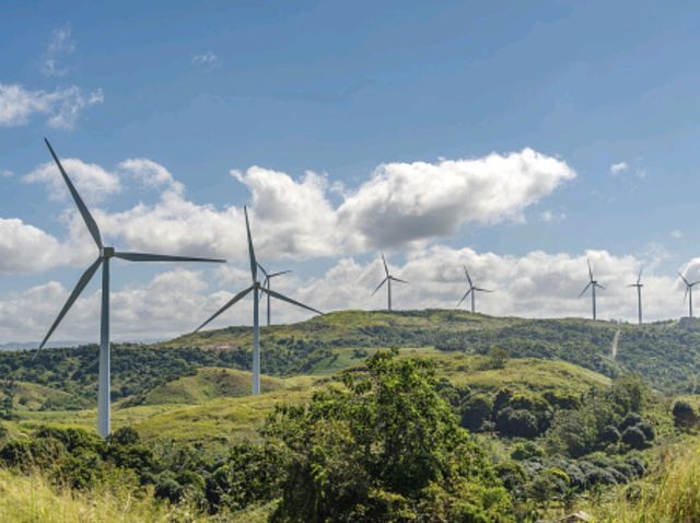 Windmill Farm Near Manila!🇵🇭