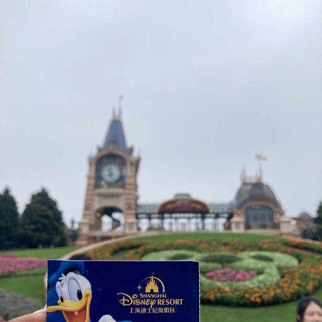 Another Fun Trip to Disney 🎉