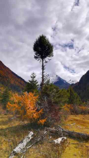 ニェンチェンタングラ山のおすすめ観光スポット2026年（2月更新