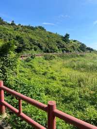 濟州島一年只開放100天的景點