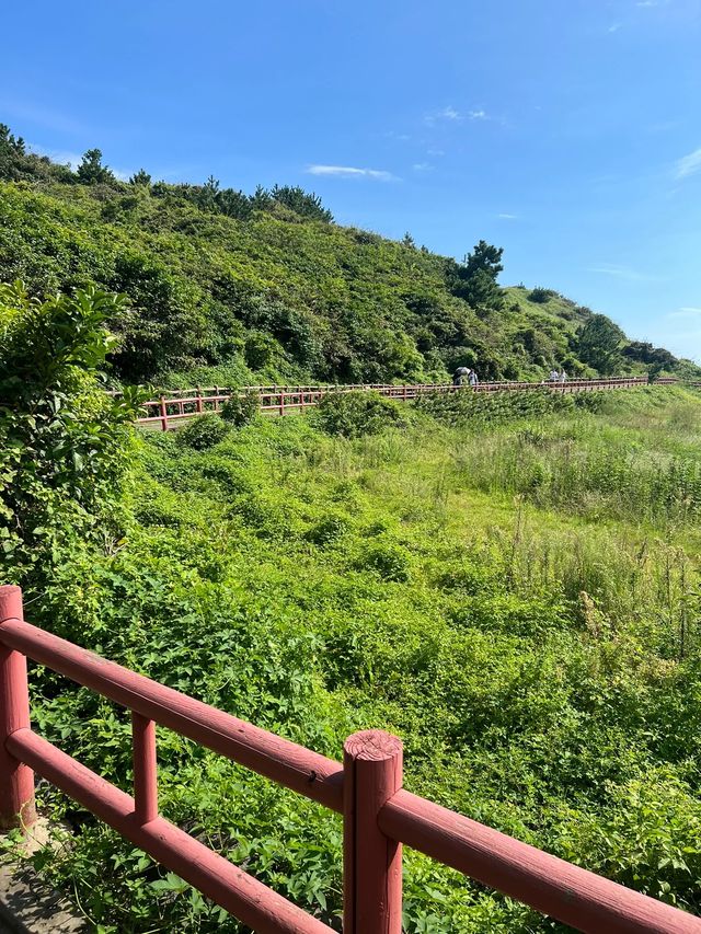 濟州島一年只開放100天的景點